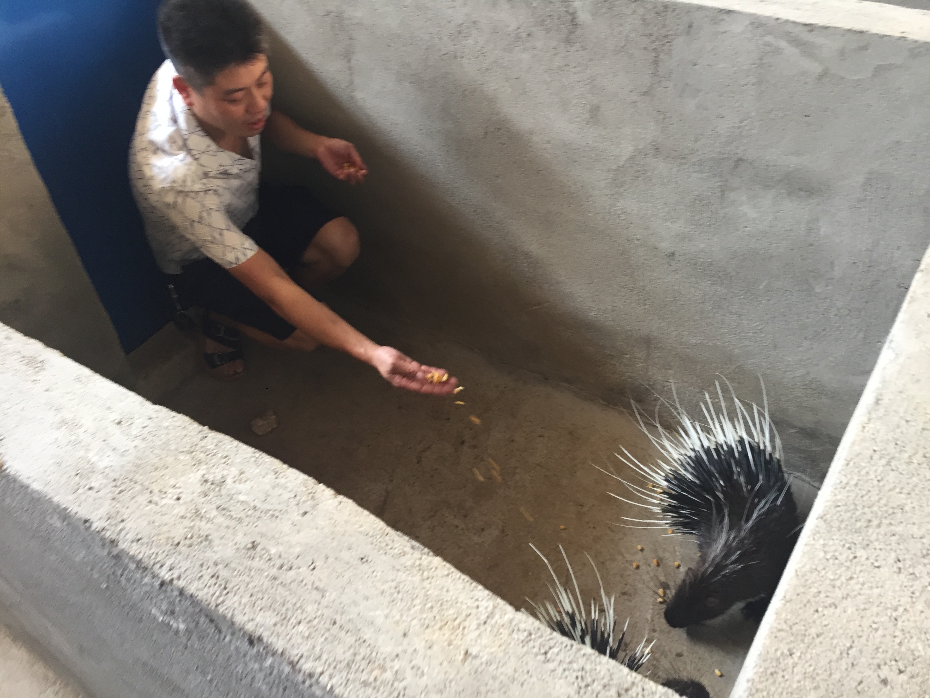 �߹�����������к�����ֳ����ƶ����һ����ƶ