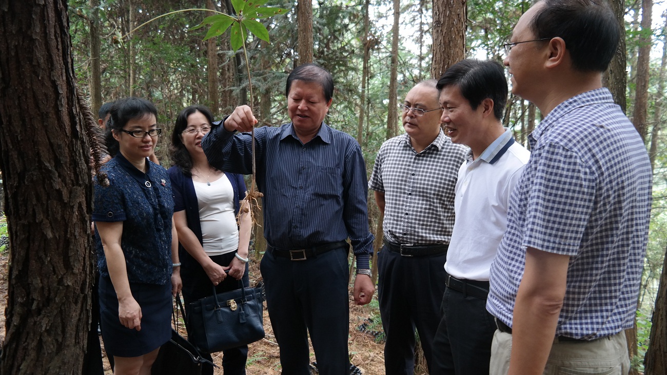 ���˴����η�ˮ��һ�е����ؿ�չ��ҩ�Ĳ�ҵ��չ����