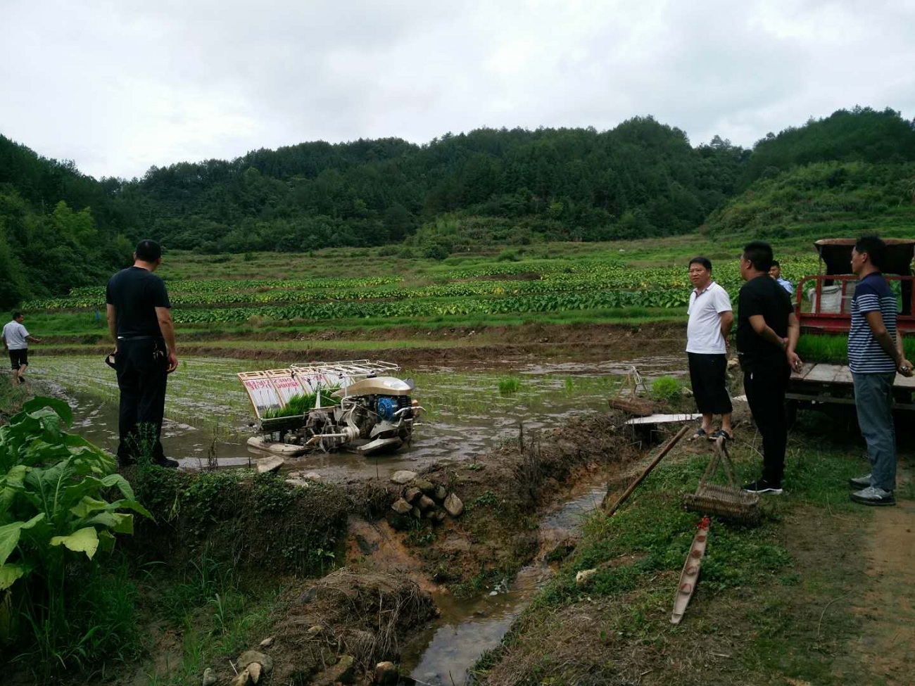 ֹ�����˴��������ͷΪȺ�ڵ������